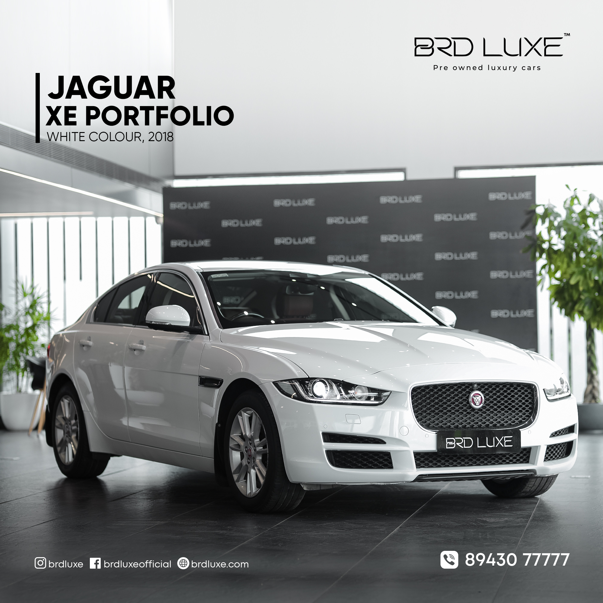 Jaguar Cars: Unlocking Performance Luxury in Kerala
